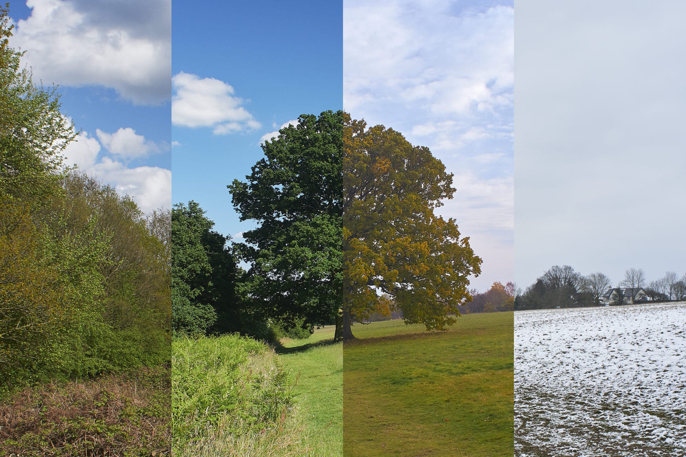 Your Habits Should Change with Seasons